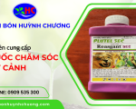 Các loại thuốc chăm sóc cây cảnh tại Phân bón Huỳnh Chương