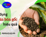 Một số chú ý quan trọng để sử dụng phân bón gốc hiệu quả