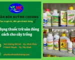 Hướng dẫn sử dụng thuốc trừ sâu đúng cách cho cây trồng của bạn