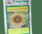 Hoa Hướng Dương TN 282