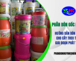 Phân Bón Gốc Là Gì - Hướng dẫn bón phân cho cây từng giai đoạn phát triển