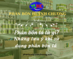 Phân bón lá là gì? Những lưu ý khi sử dụng phân bón lá