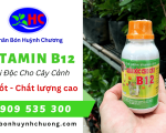 Vitamin B12 - Chế Phẩm Giải Độc Và Phục Hồi Nhanh Cho Cây Cảnh