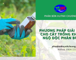 Phương pháp giải độc cho cây trồng khi bị ngộ độc phân bón