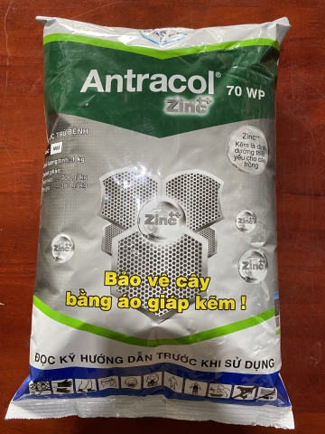 ANTRACOL BẢO VỆ CÂY TRỒNG BẰNG ÁO GIÁP KẼM