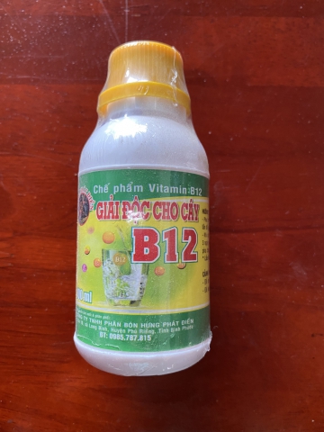 B12 GIẢI ĐỘC CHO CÂY TRỒNG 