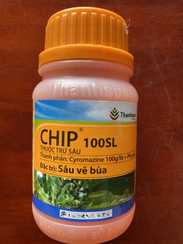 CHIP 100SL ĐẶC TRỊ: SÂU VẼ BÙA