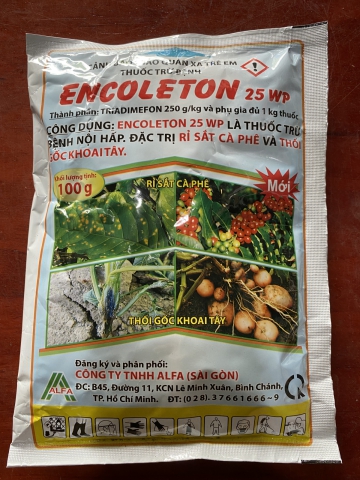 ENCOLETON ĐẶC TRỊ BỆNH RỈ SẮT