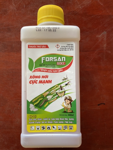 FORSAN 60EC DIỆT SÂU TẬN GỐC