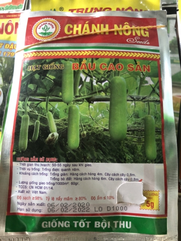 HẠT GIỐNG BẦU CAO SẢN