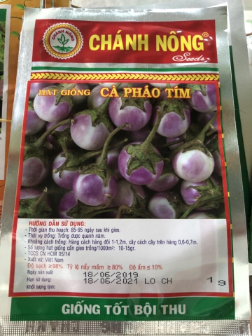 HẠT GIỐNG  CÀ PHÁO TÍM 