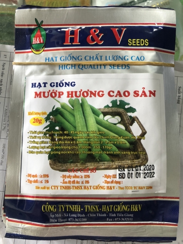 HẠT GIỐNG MƯỚP HƯƠNG CAO SẢN