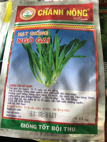 HẠT GIỐNG  NGÒ GAI