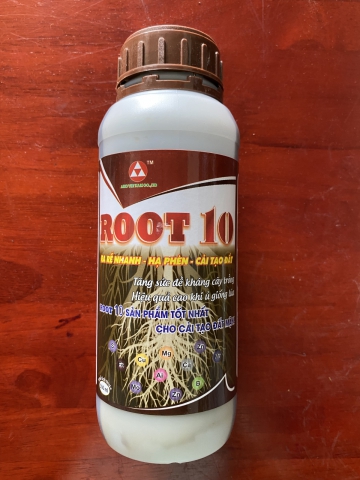 ROOT 10 TĂNG SỨC ĐỀ KHÁNG CHO CÂY TRỒNG 