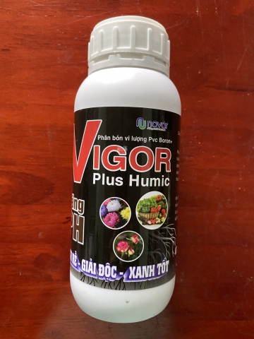 VIGOR  RA RỄ - GIẢI ĐỘC - XANH TỐT