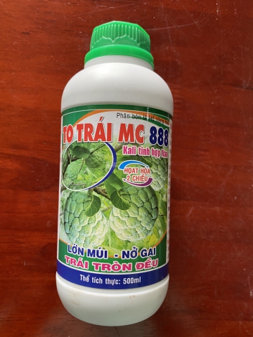 TO TRÁI MC 888 LỚN MÚI - NỞ GAI