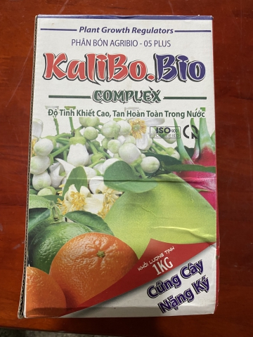 KALIBO BIO CỨNG CÂY- NẶNG KÝ