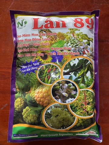 LÂN 89 PHỤC HỒI RỄ, TẠO MẦM HOA