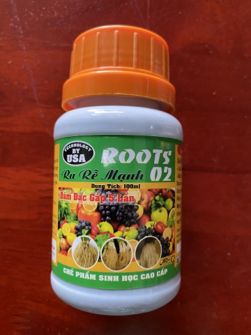 ROOTS 02 RA RỄ CỰC NHANH