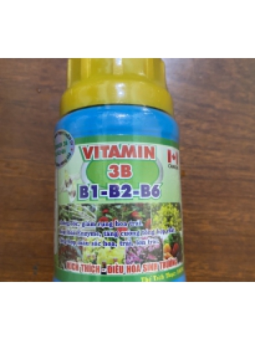 Vitamin 3B (B1-B2-B6)