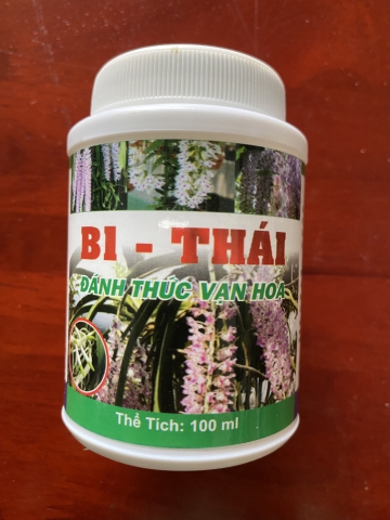 VITAMIN B1 THÁI ĐÁNH THỨC VẠN HOA