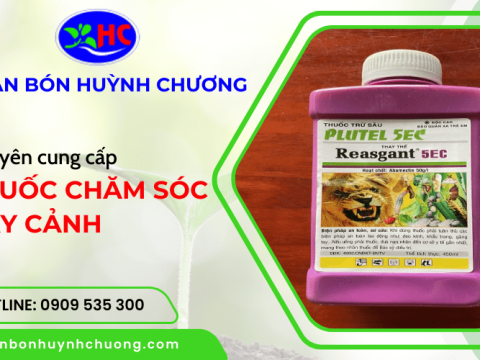 Các loại thuốc chăm sóc cây cảnh tại Phân bón Huỳnh Chương