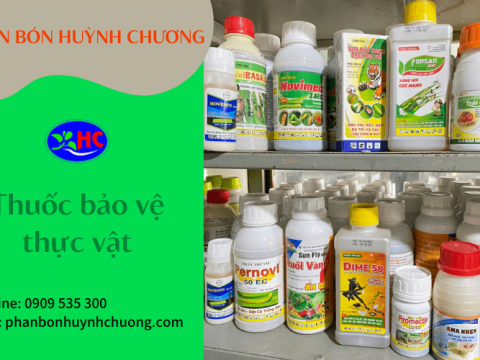 Cần lưu ý điều gì khi sử dụng và bảo quản thuốc bảo vệ thực vật?