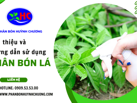 Giới thiệu phân bón lá và cách sử dụng phân bón lá hiệu quả cao