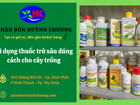 Hướng dẫn sử dụng thuốc trừ sâu đúng cách cho cây trồng của bạn