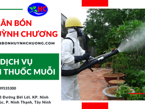 Huỳnh Chương - Cung cấp dịch vụ phun thuốc muỗi hiệu quả tại Tây Ninh