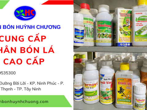 Phân Bón Huỳnh Chương - Địa chỉ cung cấp phân bón lá chính hãng, uy tín tại Tây Ninh