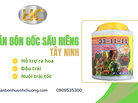 Phân bón gốc sầu riêng Tây Ninh hỗ trợ ra hoa, đậu trái, nuôi trái tốt