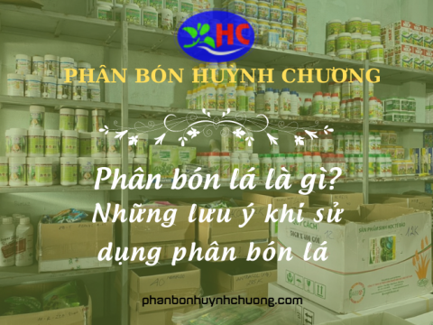 Phân bón lá là gì? Những lưu ý khi sử dụng phân bón lá