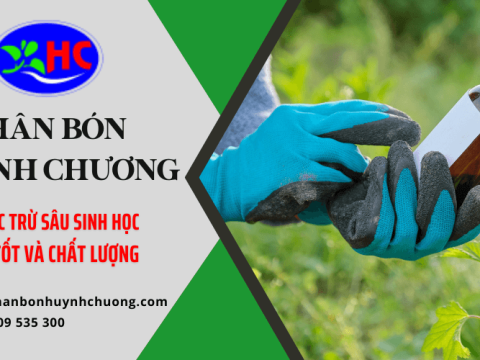 Thuốc Trừ Sâu Sinh Học Giá Tốt Và Chất Lượng Tại Phân Bón Huỳnh Chương