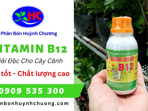 Vitamin B12 - Chế Phẩm Giải Độc Và Phục Hồi Nhanh Cho Cây Cảnh