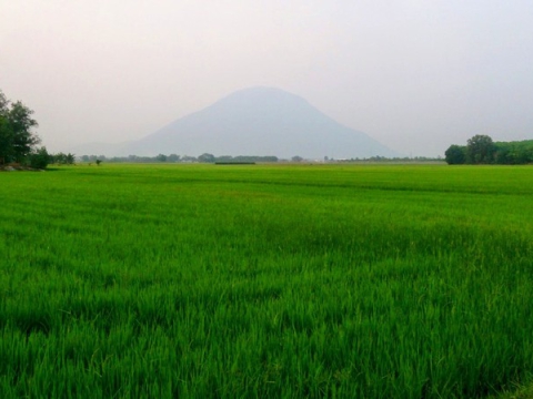 CÔNG TY TNHH HUỲNH CHƯƠNG