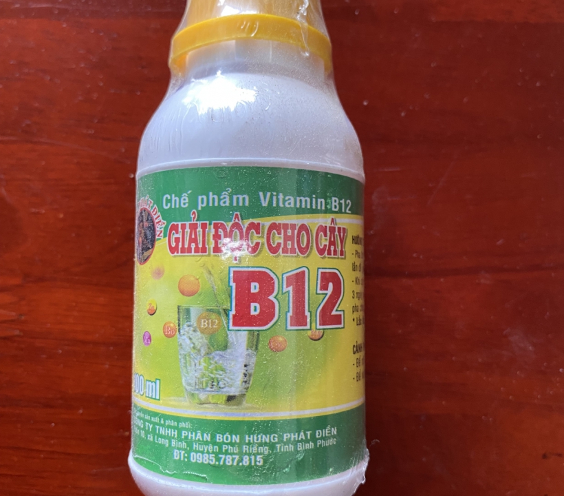 B12 GIẢI ĐỘC CHO CÂY TRỒNG 