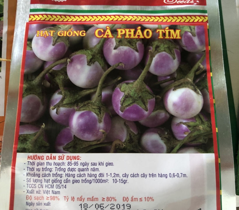 HẠT GIỐNG  CÀ PHÁO TÍM 