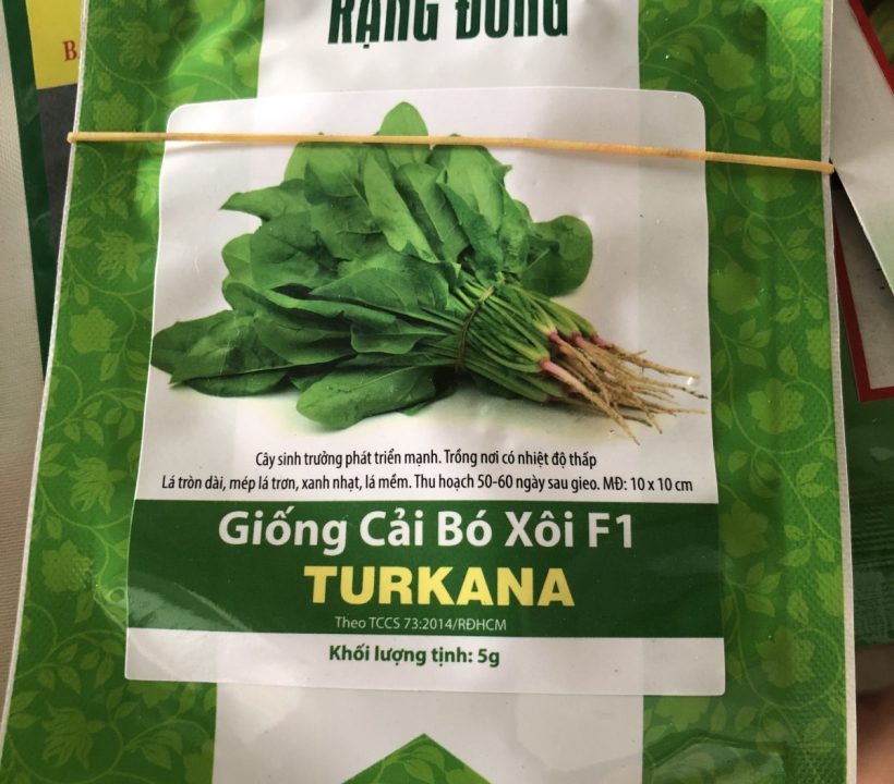 HẠT GIỐNG CẢI BÓ XÔI F1