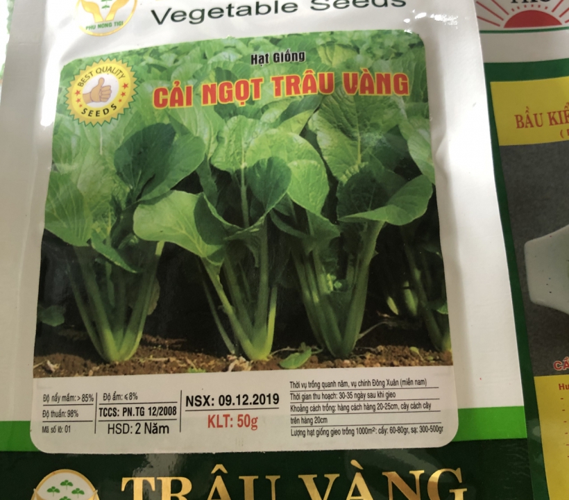 HẠT GIỐNG  CẢI NGỌT 50gr HIỆU TRÂU VÀNG 