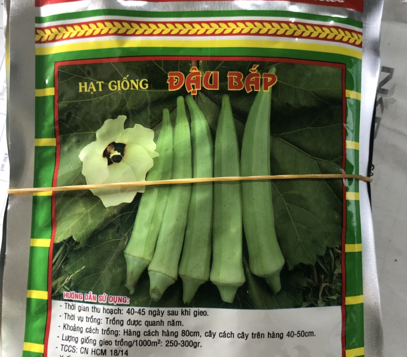 HẠT GIỐNG ĐẬU BẮP