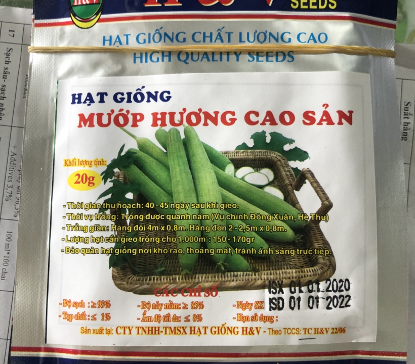 HẠT GIỐNG MƯỚP HƯƠNG CAO SẢN