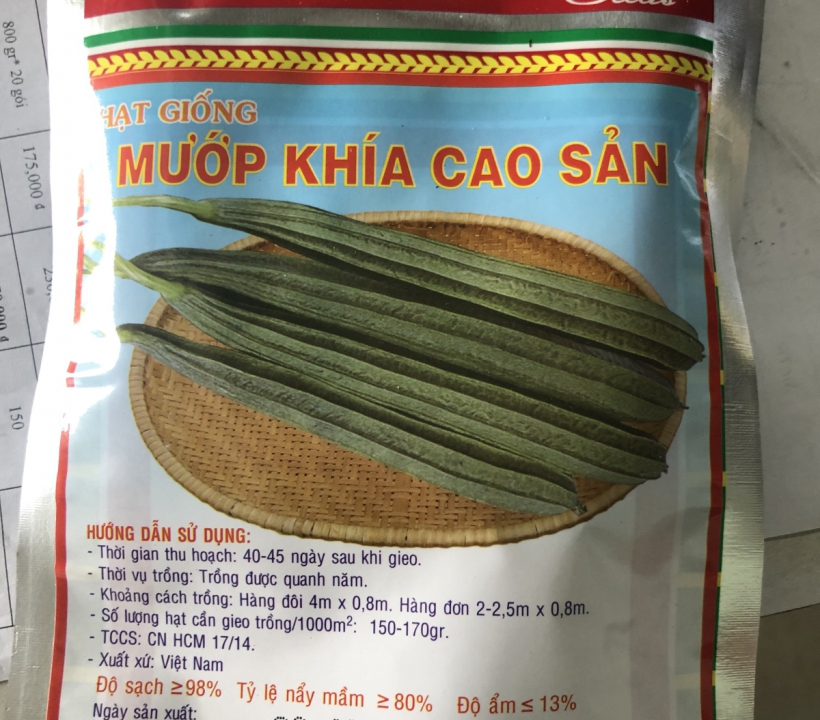 HẠT GIỐNG MƯỚP KHÍA CAO SẢN