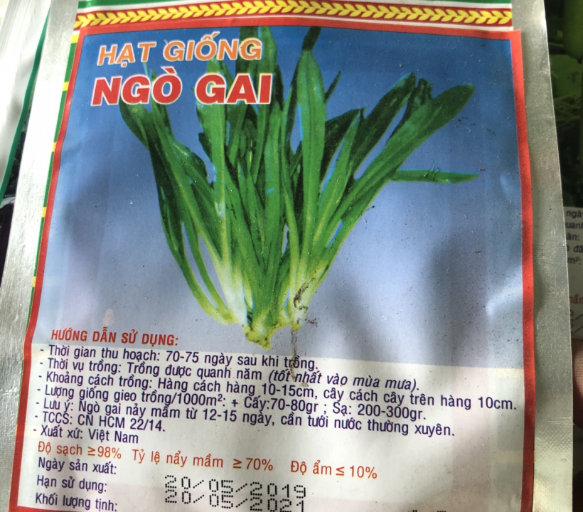 HẠT GIỐNG  NGÒ GAI