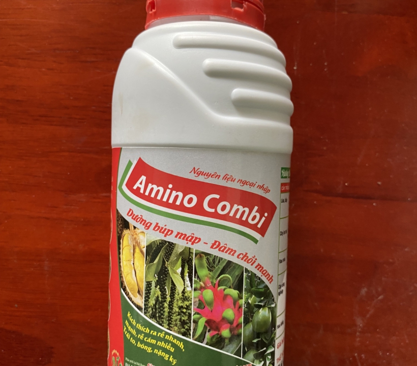 AMINO COMBI DƯỠNG BÚP - ĐÂM CHỒI MẠNH