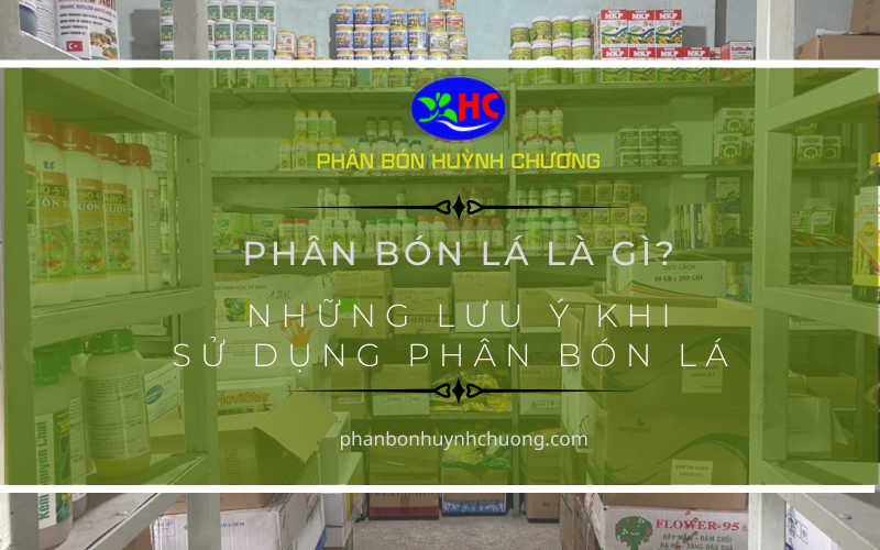 Phân bón Huỳnh Chương - chất lượng, hiệu quả