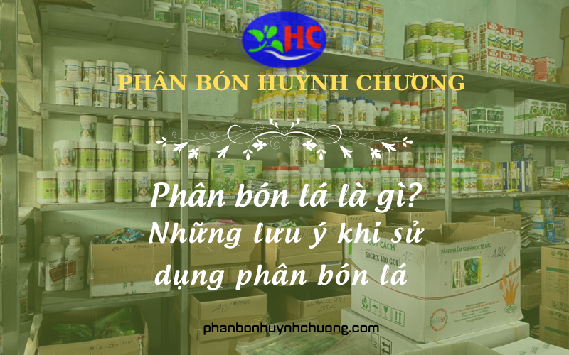 Phân bón Huỳnh Chương