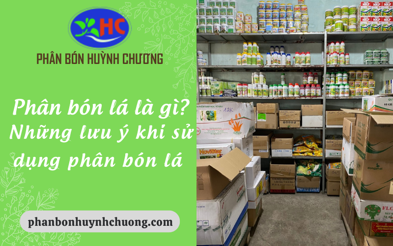 Phân bón lá Huỳnh Chương