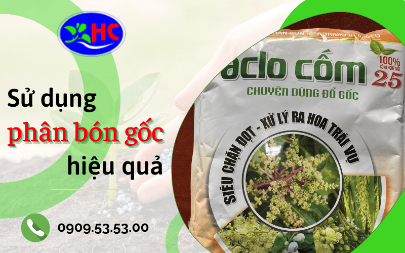 phân bón gốc