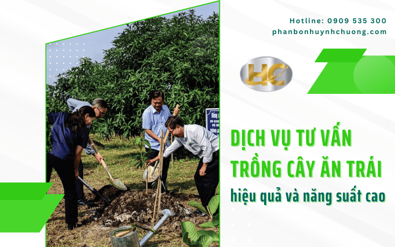 tư vấn trồng cây ăn trái